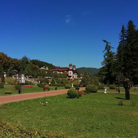 Apartamentul Alfa Slănic-Moldova Εξωτερικό φωτογραφία