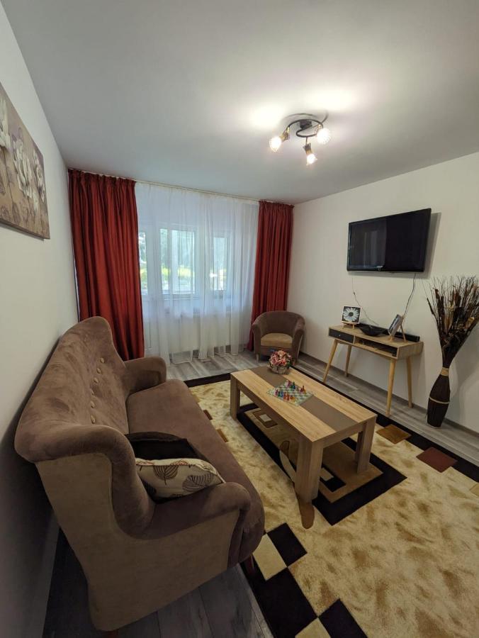Apartamentul Alfa Slănic-Moldova Εξωτερικό φωτογραφία