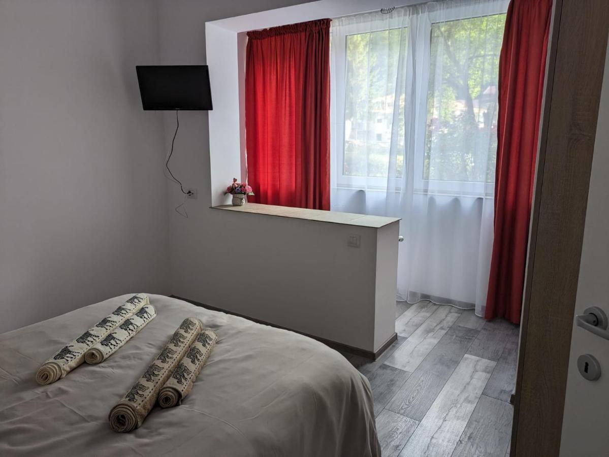 Apartamentul Alfa Slănic-Moldova Εξωτερικό φωτογραφία